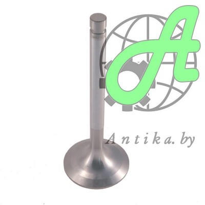 Клапан впускной 260-1007014-В ММЗ Д-243, Д-245, Д-260, Д-262