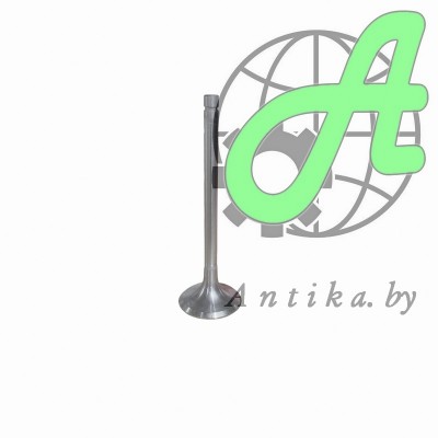 Клапан впускной 74061007010 КамАЗ 