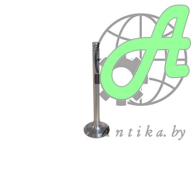 Клапан впускной 3LD-1007014-В малолитражных двигателей ММЗ 3LD, 3LDG, 4DT