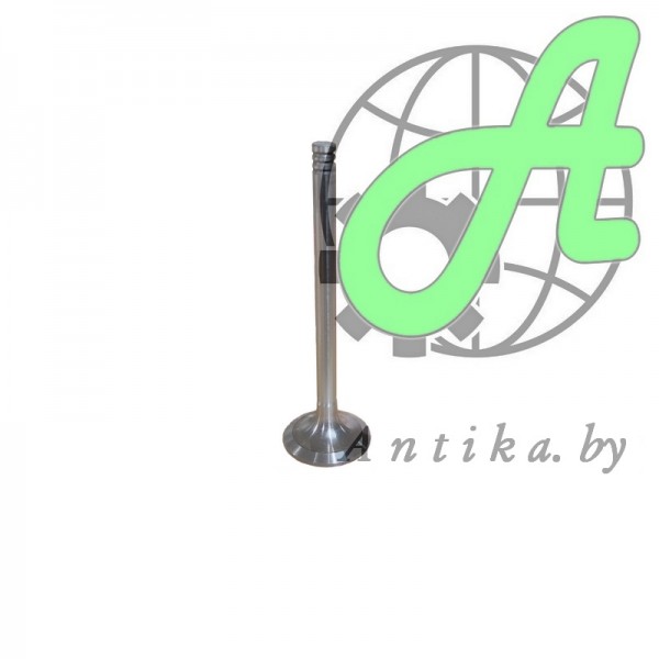 Клапан впускной 3LD-1007014-В малолитражных двигателей ММЗ 3LD, 3LDG, 4DT